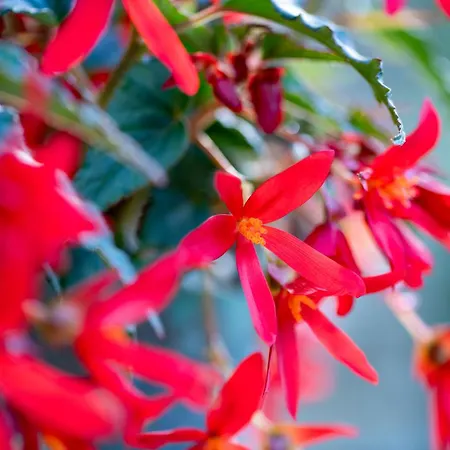 Alpstuga Cinq Moutons