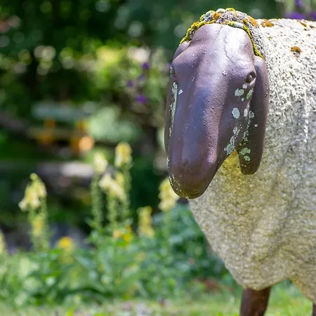 Alpehytte Cinq Moutons *