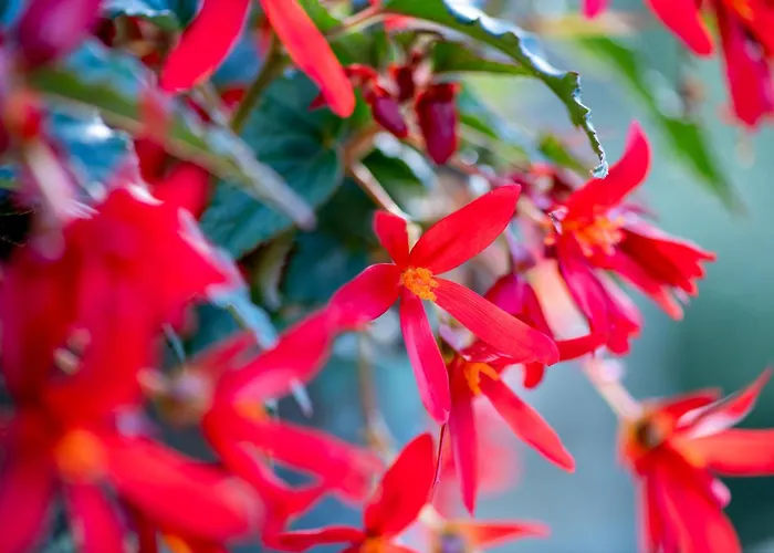 Шале Cinq Moutons