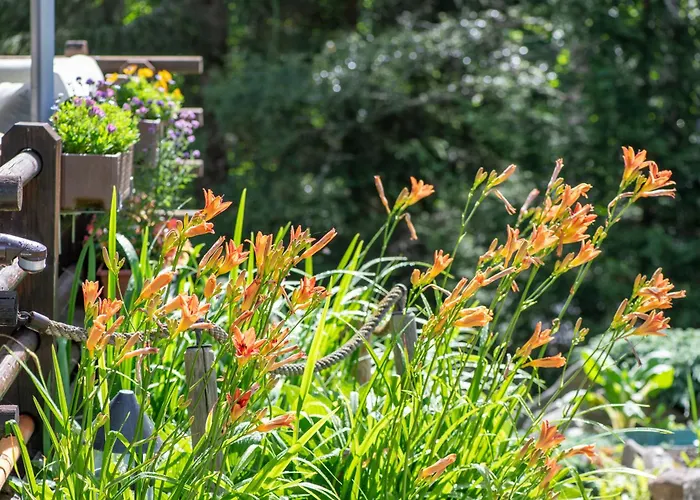 Cinq Moutons Шале *