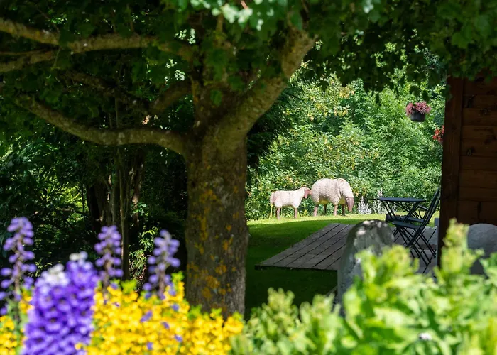 Cinq Moutons Шале Орсьер