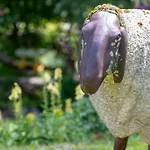 Domek alpejski Cinq Moutons *