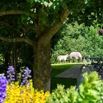 Cinq Moutons Domek alpejski Orsières