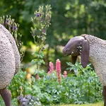 Cinq Moutons * Orsières