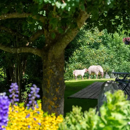 Cinq Moutons Alpesi faház Orsières
